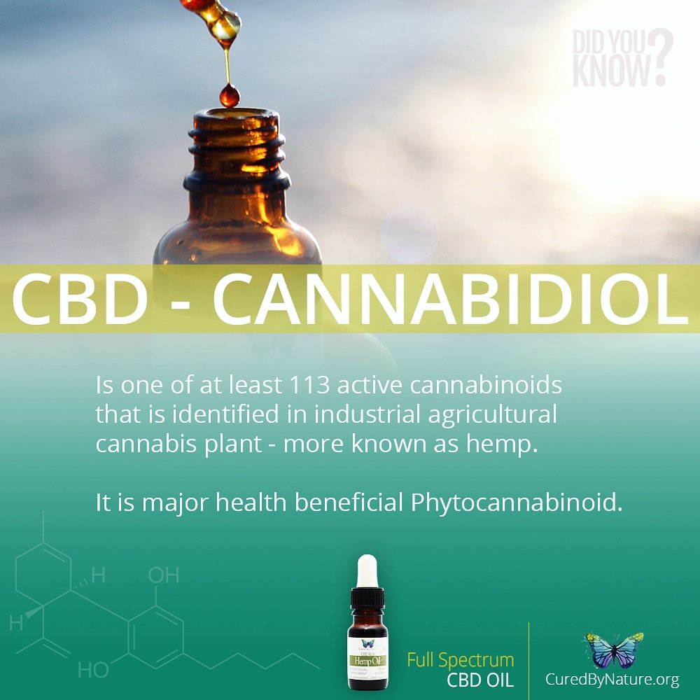AllyHrovatt's tweet photo. #cbd #cbdoil #cbddrops #fullspectrum #cannabidiol #cannabis #hemp #yourhealthisyourwealth #health #educateyourself #openyoureyes #naturalhealing #natural #cbdisfuture #cbdislife #cbdhealth #cannabiscommunity #cannabisisthecure #cannabisextract #withoutsideeffects #education https://t.co/GDMMcpNoQq