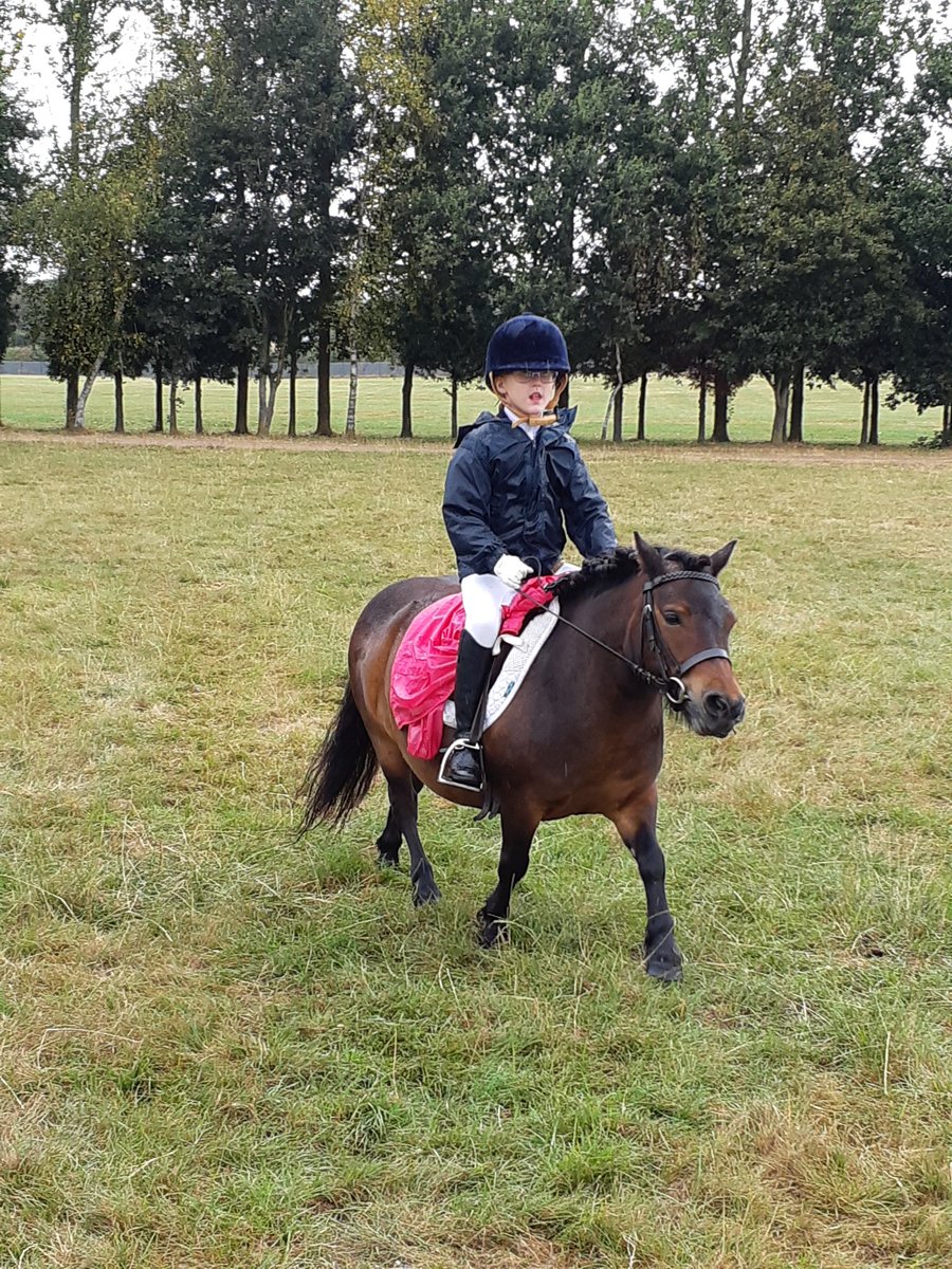 shetlandfun's tweet photo. Best pony ever at @equifest - super versatile - lead rein, first ridden, dressage, performance to music, workers, concours, fancy dress! What more could you ask for!!! All turned out in @EcoGreenEquine products 🌟🦄 https://t.co/cFefyejXlV