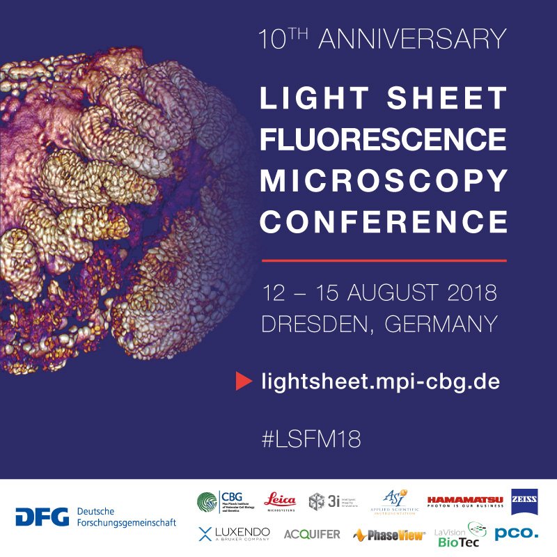 PavelTomancak's tweet photo. 10th Anniversary Light Sheet Fluorescence Microscopy Conference #LSFM18 starts today @mpicbg. 

24 invited speakers, 24 selected abstract talks, 11 company techno bites, demo sessions, 66 posters &amp; 212 participants.

https://t.co/u7wWfbNJbW

Expect Twitter coverage under #LSFM18 https://t.co/70DRtF6vJ0