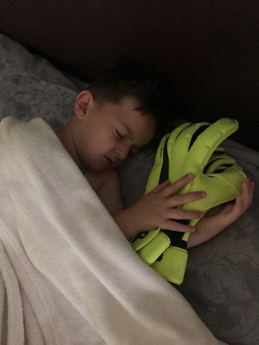 NatalieMosedale's tweet photo. Happy Little Boy! @JPickford1 gave him his goalie gloves Last Night! #pickford #everton #wolves #wwfc https://t.co/MOiqJqTcSR