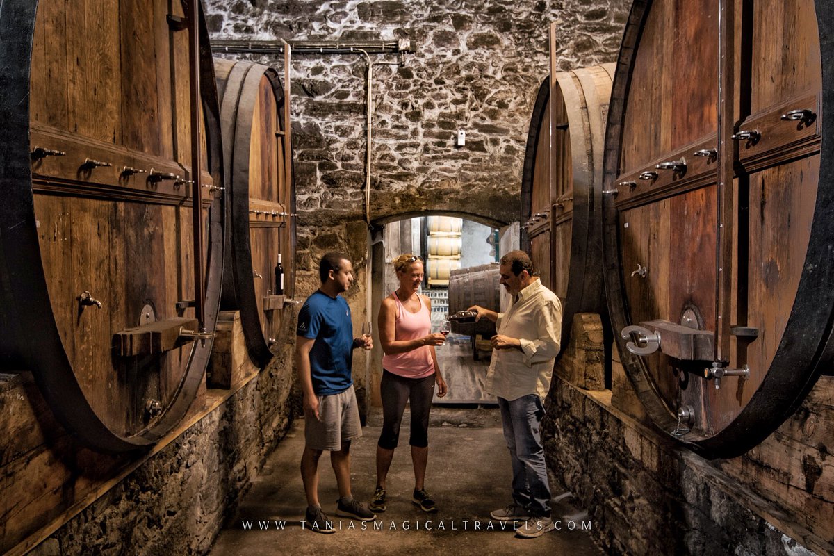 tMagicTravels's tweet photo. Back to Bali still with the amazing time at @SSDouroValley in mind. One of my favourite moments was the treking through the vineyards to reach Quinta do Mourão for a #portowine tasting.
@sixsenseshotelsresortsspas #outoftheordinary #taniasmagicaltravels
@visitportugal https://t.co/MqECd3jgsc