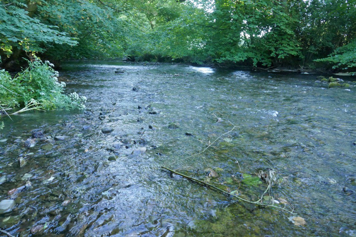 TheLengthsman's tweet image. There is a lot more water in the River Crake this morning after heavy overnight rain ~ perfect conditions for today's #SparkBridge #DuckRace at 2pm !