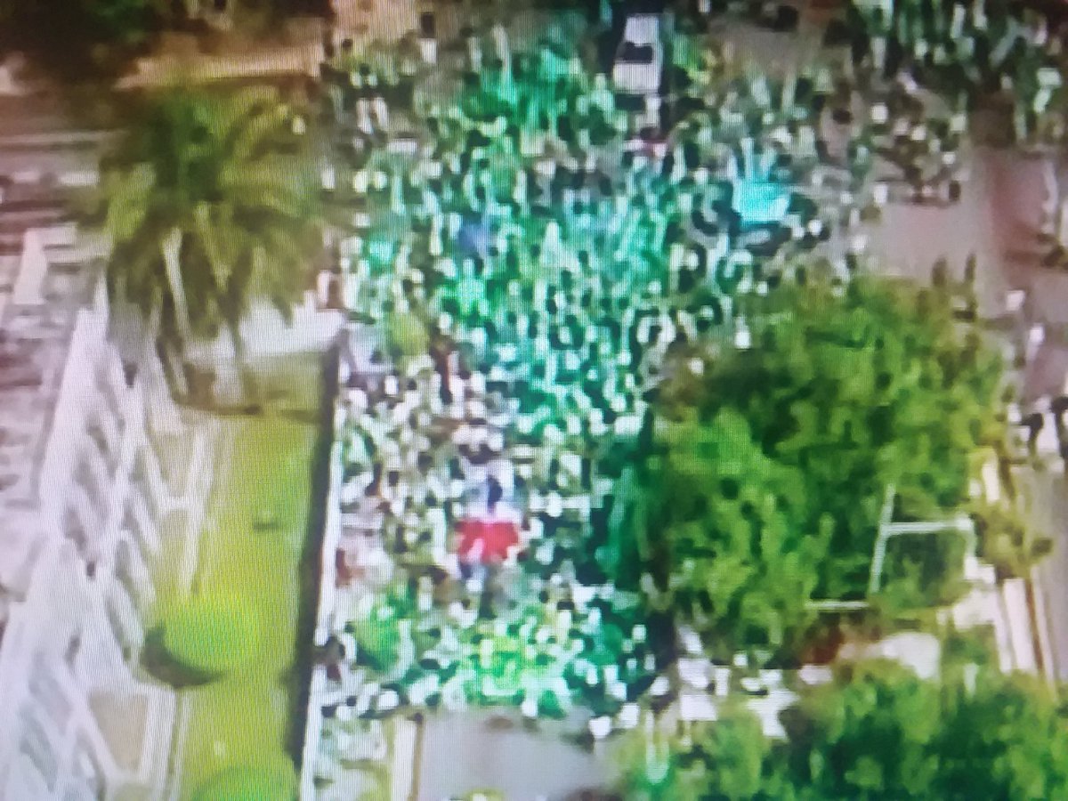 Comenzó  #marchaverde 
#1delmillon