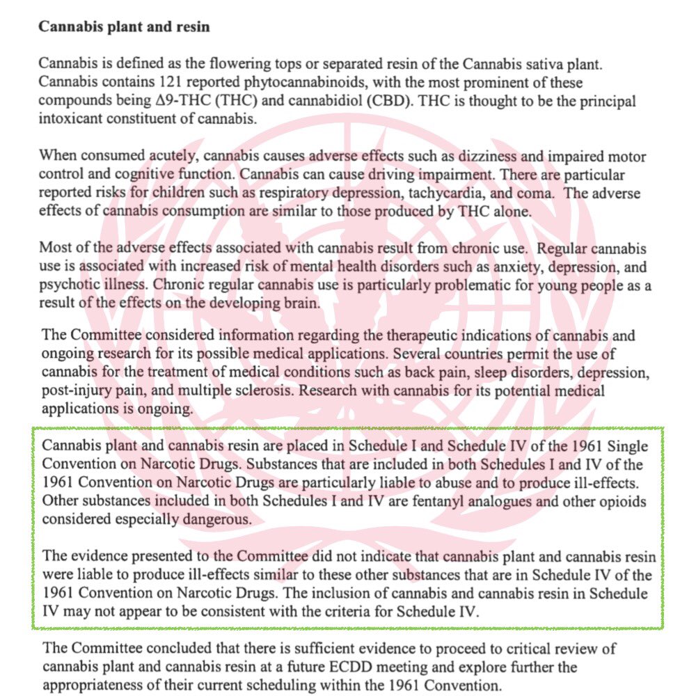FAAATnet's tweet photo. Cannabis: @WHO just declined scheduling #CBD, and acknowledged historical misjudgment about herbal #CannabisMedicines
Next steps will be to recommend a new global policy paradigm for #Cannabis
#ECDD #ECDD40 #ECDD41 #CND2019
🖥 https://t.co/E1UonMPeZz https://t.co/UW7XkzrKqz