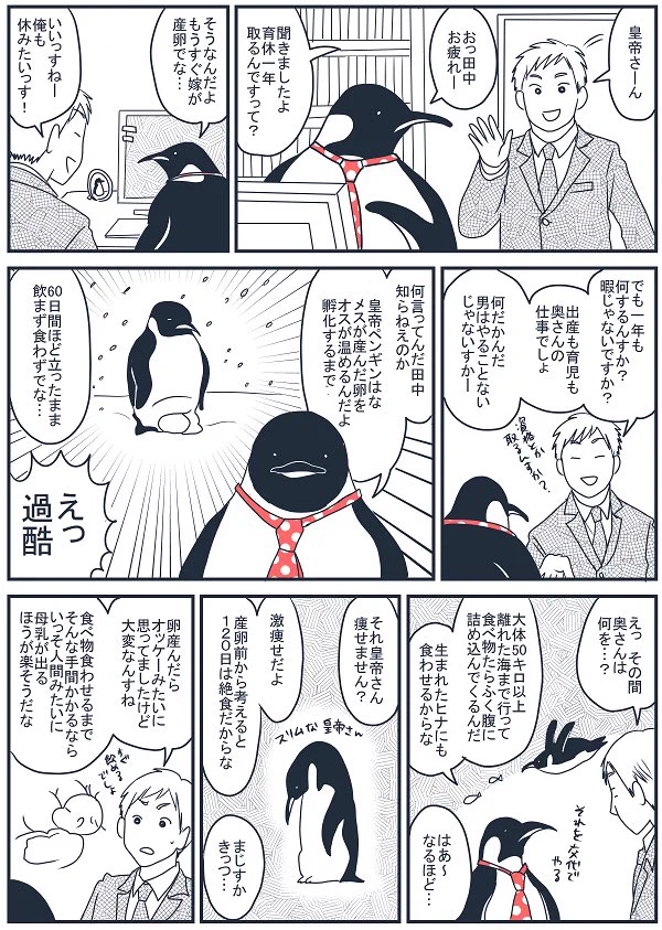 皇帝ペンギンの育休から学ぶ、妊娠中のお嫁さんのためにできること