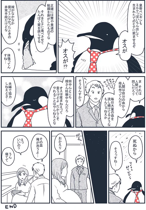 皇帝ペンギンの育休から学ぶ、妊娠中のお嫁さんのためにできること