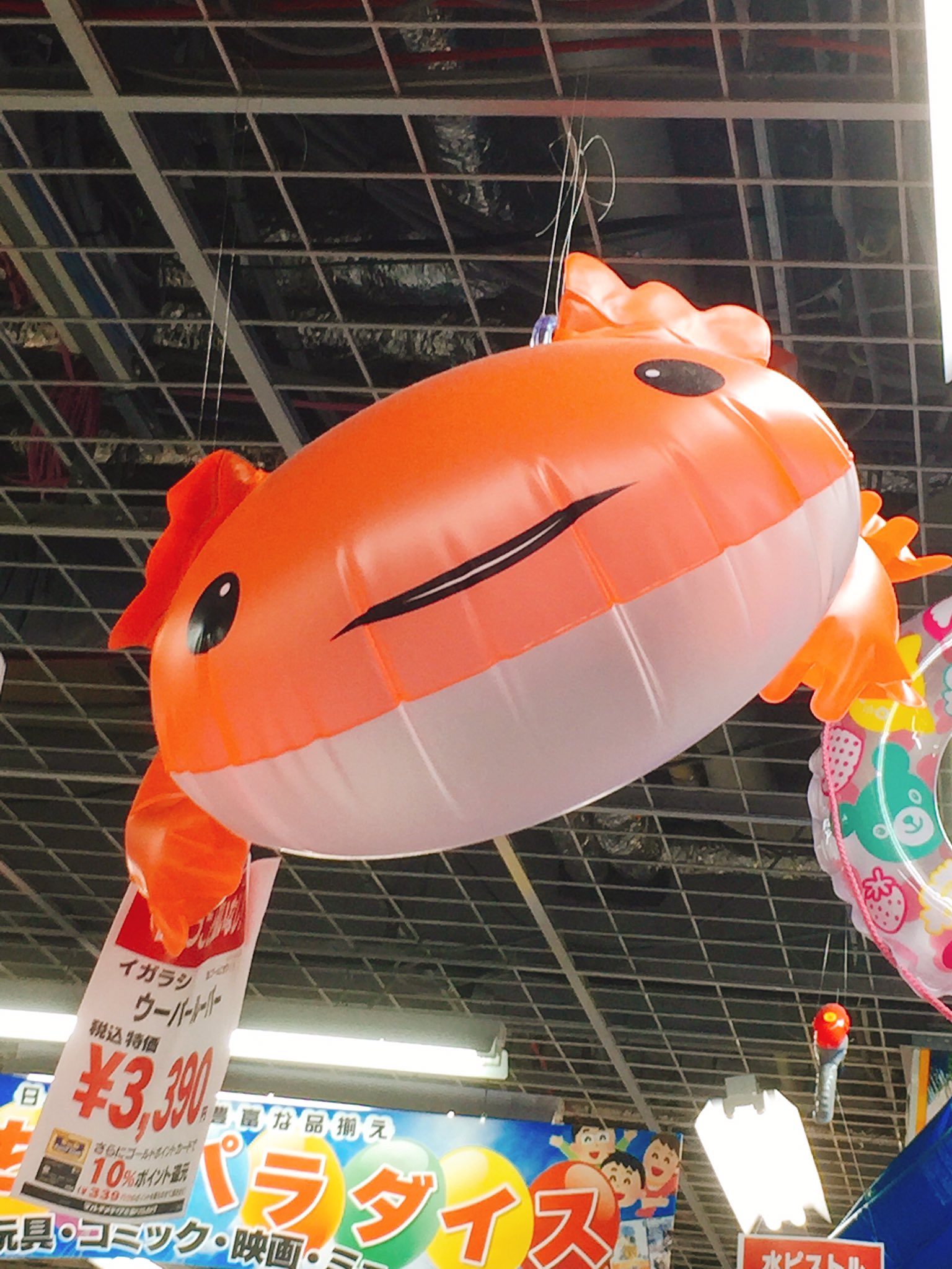 ぱるたん ウーパールーパー浮き輪 発見 正面から見た顔がのんき Ww ウーパールーパーフロート のんき顔 T Co Vsq6olhtzs Twitter