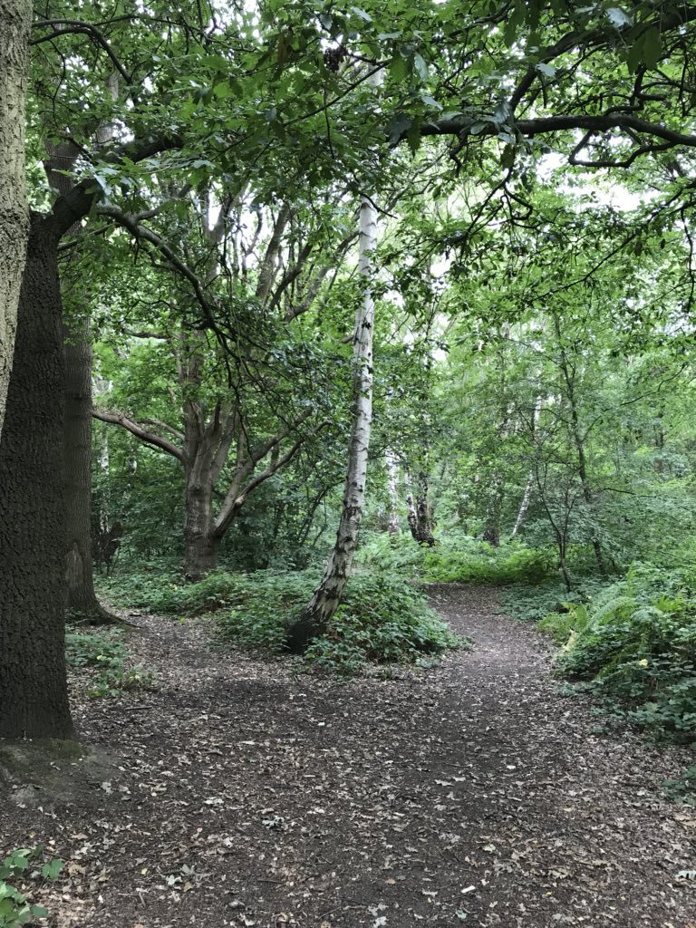 fiholley's tweet photo. Made it out between the showers for Rosieβs walk #NursesActive #wornout #NHS1000miles #ASPHgetactive https://t.co/ihO3nuEEz9