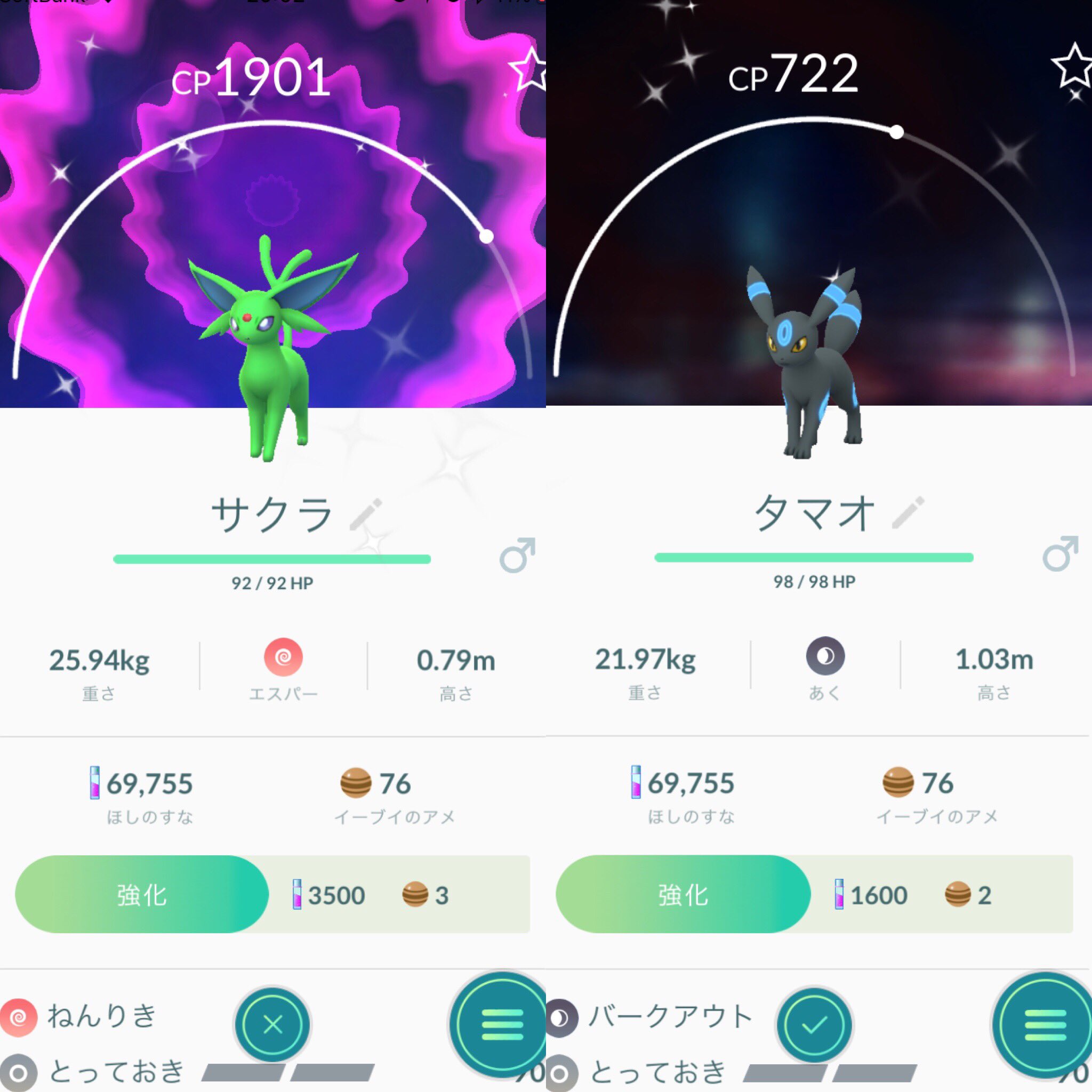 色違いエーフィ Twitter Search Twitter