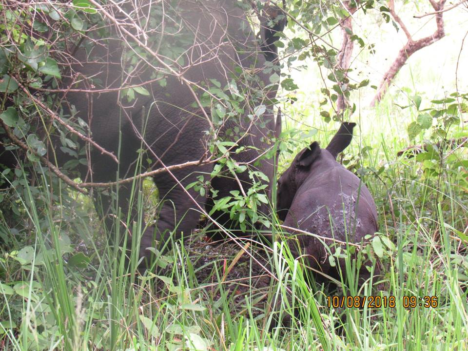 Executive Destinations & Experiences Limited (EDX) tweet media