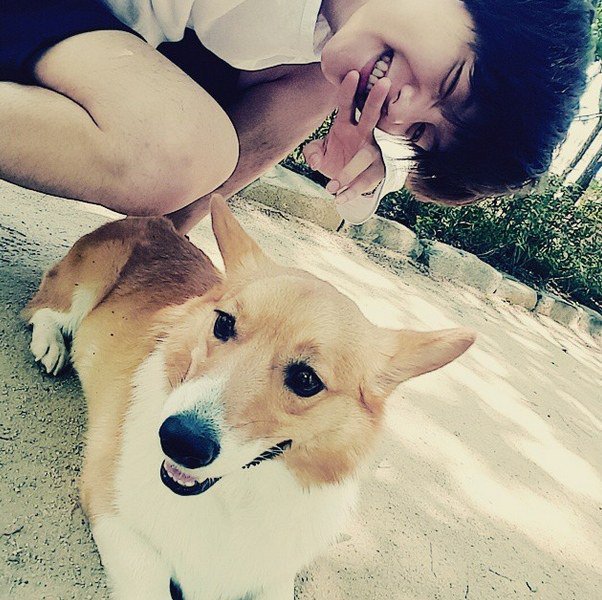 “best dog in kpop” is such a subjective thing. the argument shouldn’t even exist because everyone likes different breeds of dogs and connects with them differently. so in conclusion mongryong is the best dog in kpop