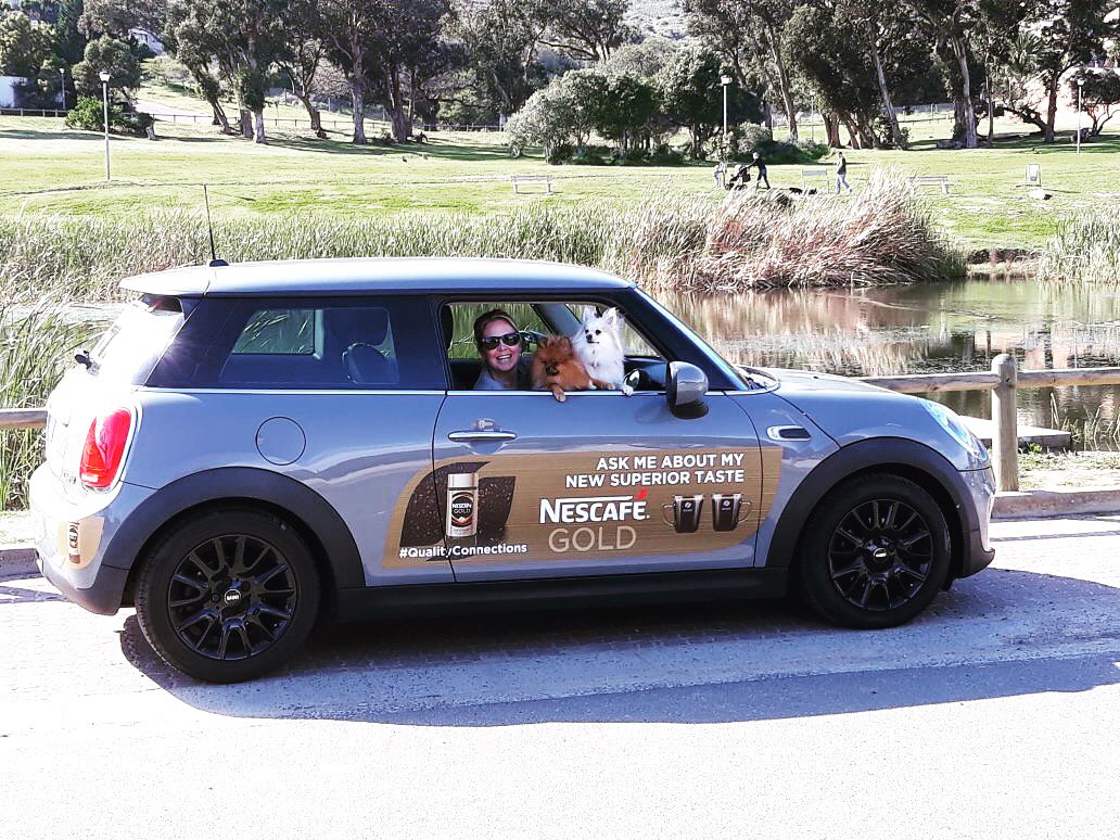 LMouseF's tweet image. Very excited to have been chosen to rep @nescafesa on this new campaign ☕️ Wookie and Simba is along for the ride 🐶🐶 #qualityconnections #dogsofinstagram #pomeranian