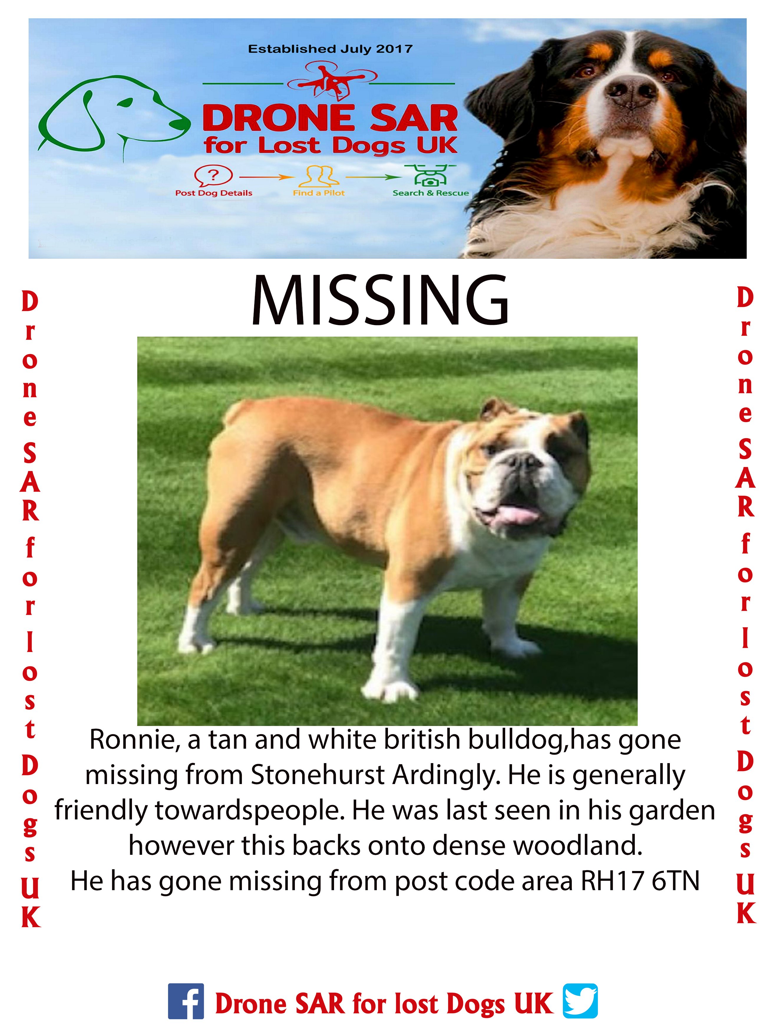 Lost english sale bulldog