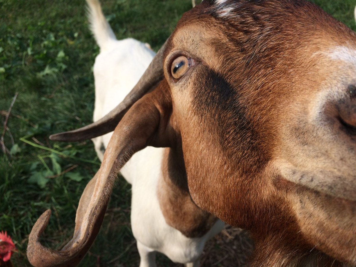 carol_penner's tweet image. I pray
for a day
filled
with smiles 
for you,
my friend
#ThanksForFollowing