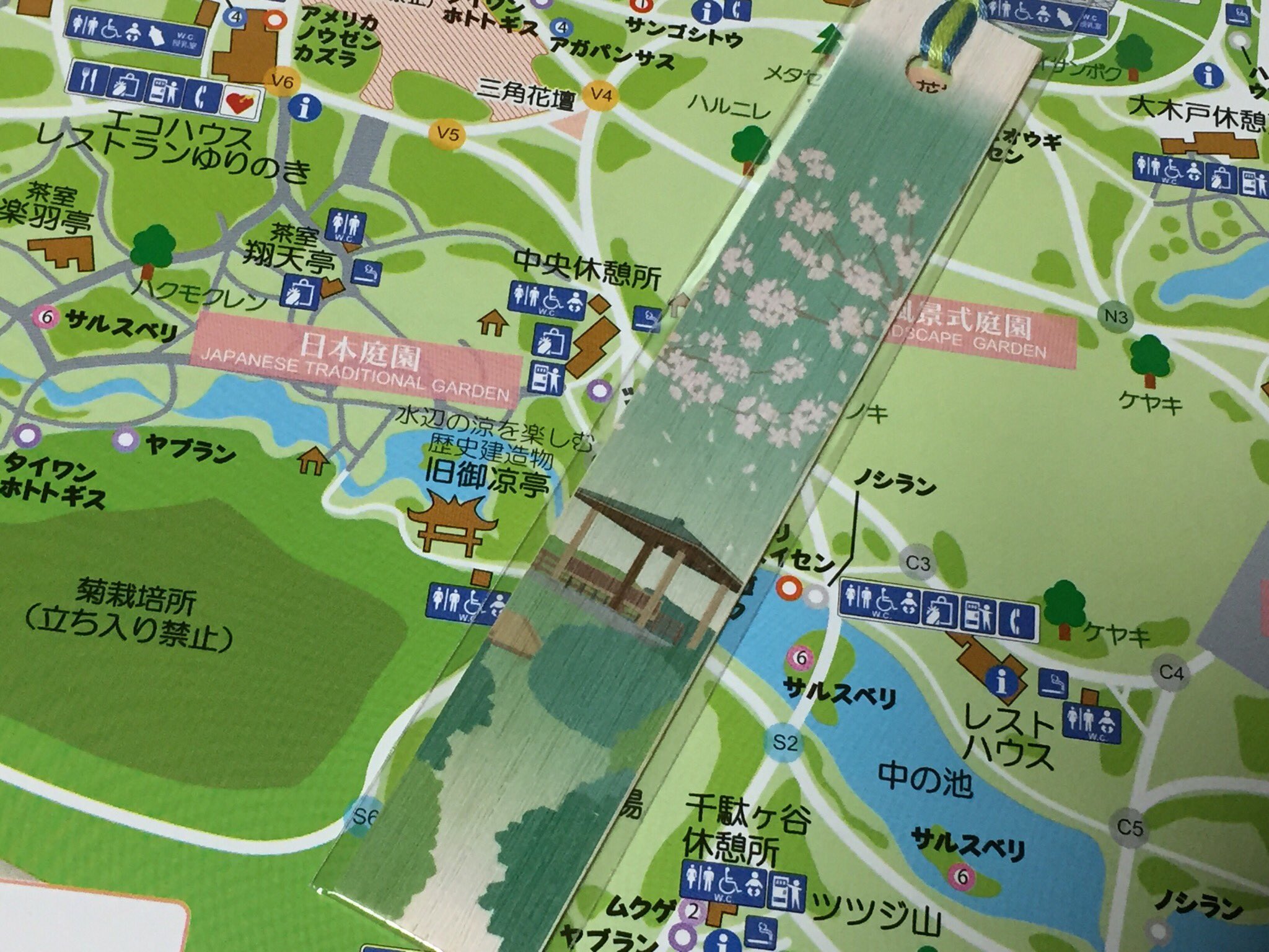 تويتر しなと على تويتر 最後は新宿御苑の聖地を巡ってきた 場所が分からんかったので売店の方に聞いたら 言の葉の庭 ですか と言われた よくおわかりで ついでに言の葉の竹の栞をオススメされたので買った チョロい 雨降ってれば良かったのになあ