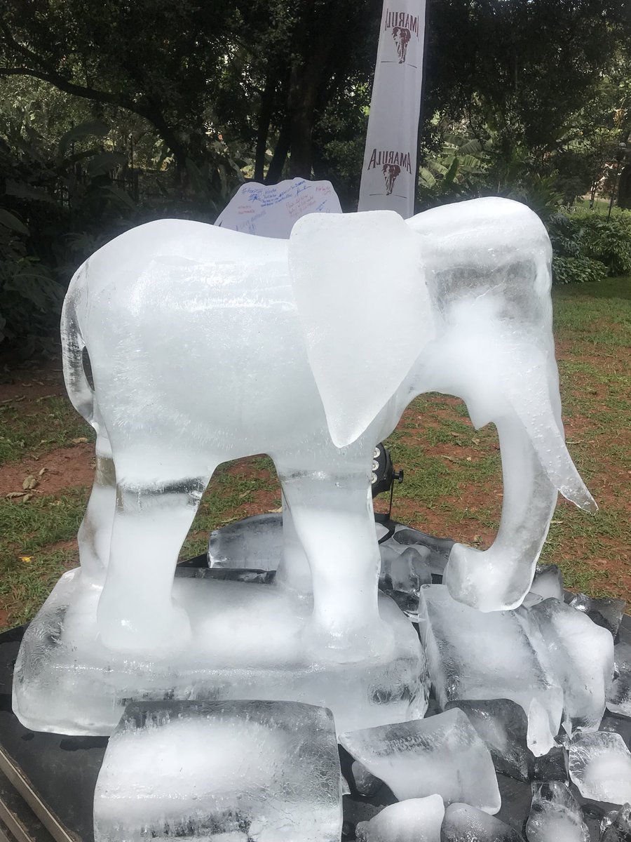 AmarulaEA's tweet photo. Melting of this elephant symbolizes the disappearance of the elephant #DontLetThemDisappear #MadeFromAfrica #WorldElephantDay https://t.co/ru3u6Pj0gH