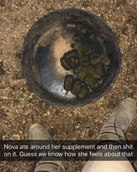 ComfortGutWorld's tweet photo. #repost too funny not to share 😂😂 #mareproblems #ladiesalltheway #classy https://t.co/nE2kX9JpWa