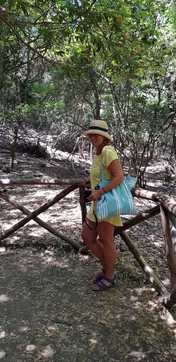 illaka152's tweet image. #modalitáVacanza #Rodi #valledellefarfalle