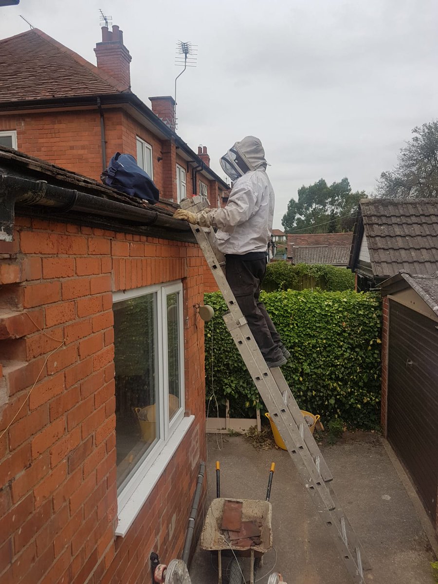 JCS Pest Control (jcspestcontrol) Twitter