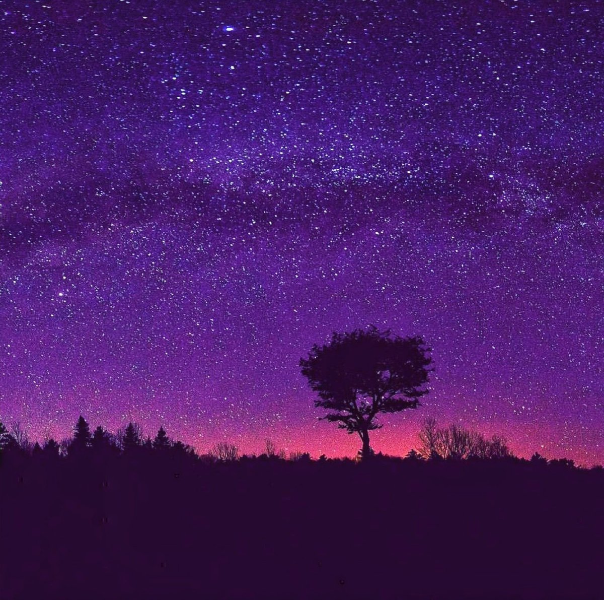 Toru Photo Movie 紫のグラデーションで彩ってみました この色合いは不思議な世界観を感じます 星空 星景 T Co Xkdfqocne1 Twitter