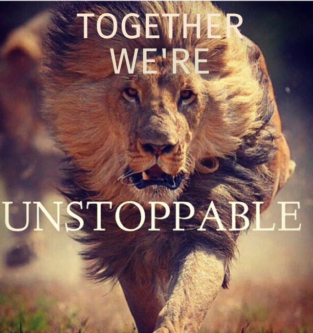 relentlessseeds's tweet photo. @grizzlemeister @Blackk_Patriots https://t.co/YL55Z2GOZK