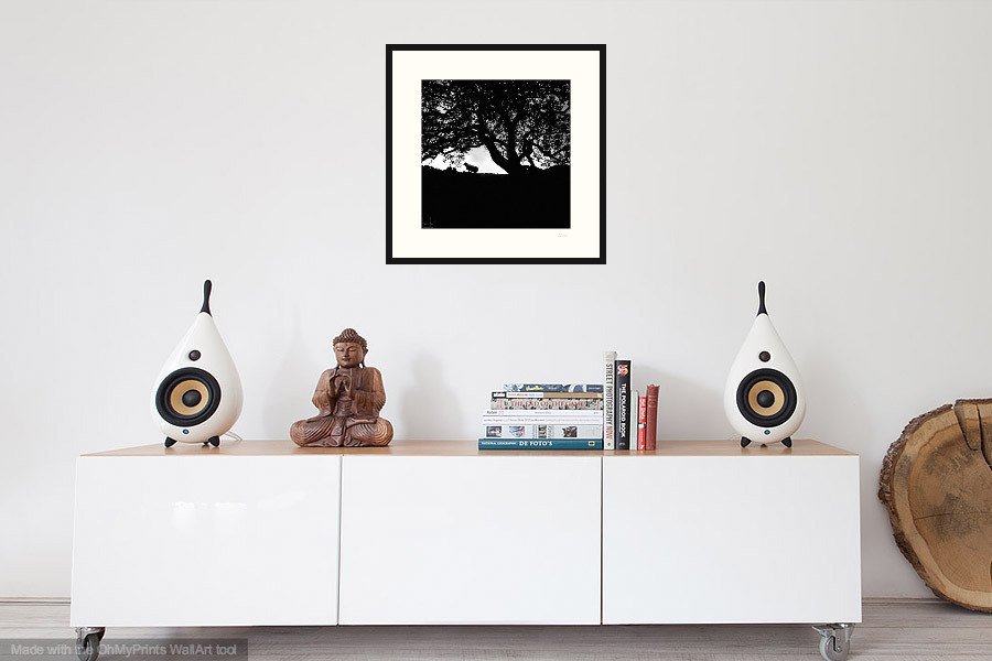 danscapephoto's tweet photo. Sheep & Tree Print - Black and White Countryside Silhouette Peak District Original Fine Art Photography Wall Art https://t.co/dnDtwrGK5z #Outdoors #gift #art #Photography #wall art #MyNewTag #handmade #print #Art #SheepPrint https://t.co/UmGB0dB8Us