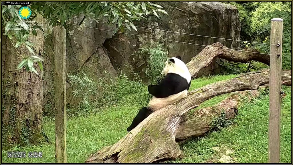 pinkypanda0823's tweet photo. GMLY!! It’s still good to #BeTheBei . Mwah!! https://t.co/3EIg6ku8cj