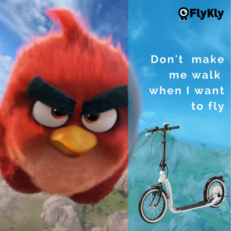 Kickin' it tweet media