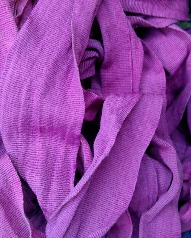 MIA_Organic's tweet photo. Vaginas come in all sizes, shapes and colors. Love your vagina! 💜 via (@emitter2) @i_spy_vagina
.
.
#MIAOrganic #OrganicTampons #NonApplicatorTampons #NoPlastic #MIA #MIAGivesBack #TamponsForEveryone #MIATampons #YourPeriodMadeSimpler #SimplerPeriod… https://t.co/JVPuOXHEcr https://t.co/AzXICBrnXs