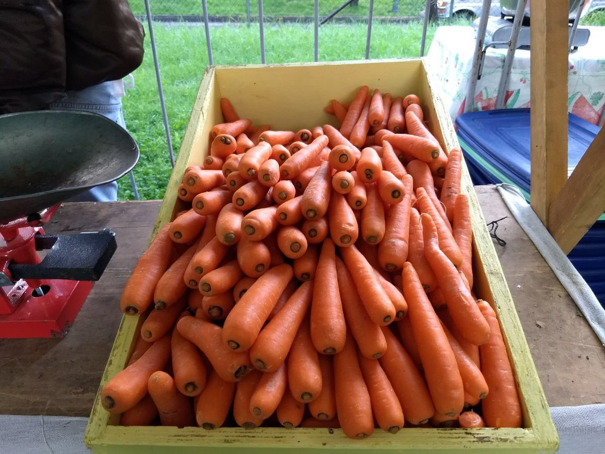 #FelizDomingo Ya inició el #MercadoDeTrueque en el Bosque de <a href="/ChapultepecCDMX/">Bosque De Chapultepec</a>, donde podrás intercambiar residuos reciclables por alimentos y productos agrícolas locales