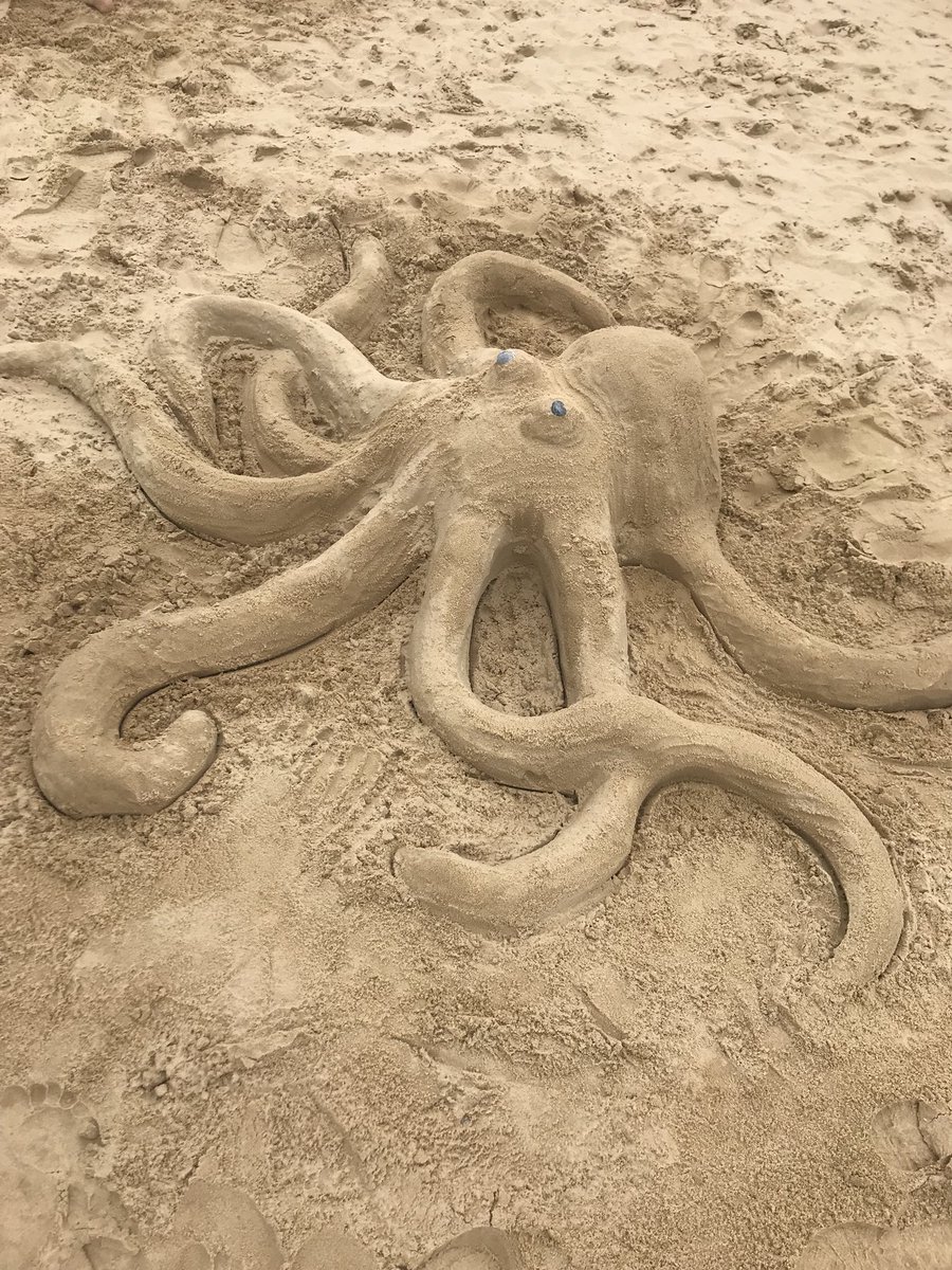 SWTlearningteam's tweet photo. Down at #Lowestoft beach today with @NorthSeaWT and #SandInYourEye creating some amazing sand sculptures! Come and join us to discover what creatures live in the #NorthSea 🐙🐬🐠 #NationalMarineWeek https://t.co/eqLt4mX3FJ