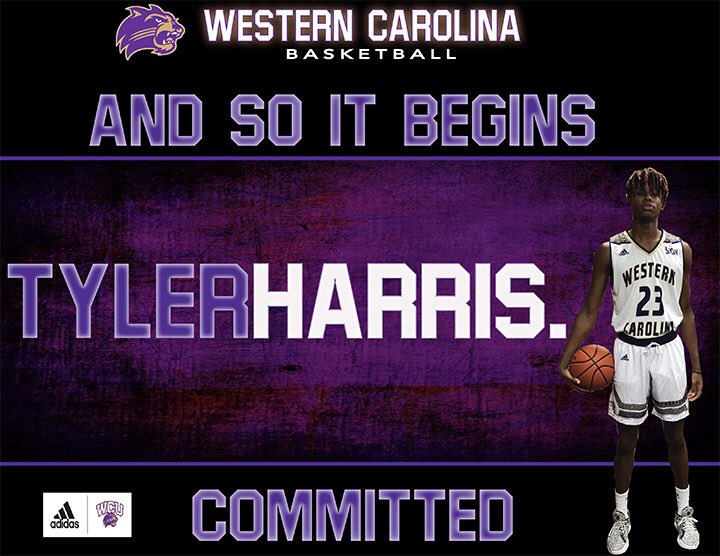 Tyler Harris tweet media