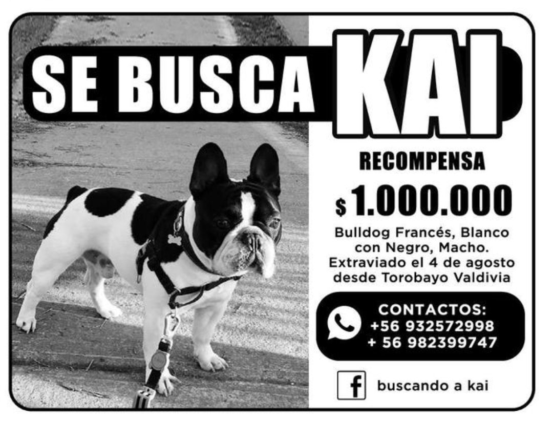 LucyKazakov's tweet photo. Atención #ValdiviaCL  @valdichileno @InformaAlMinuto @rioenlinea @radio_austral https://t.co/7oCZ91SNhH