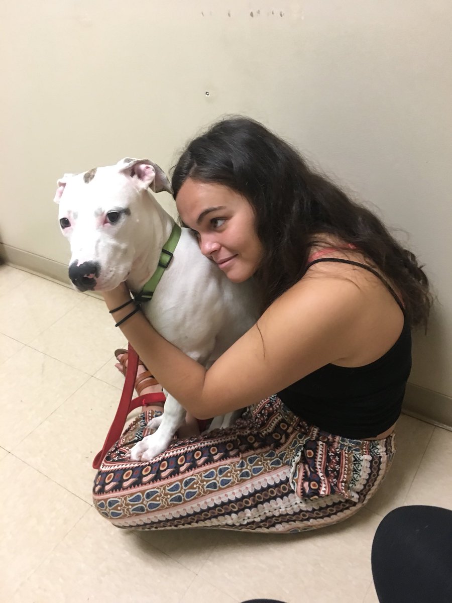 loogggaann's tweet photo. IF UR IN GREENSBORO PLZ RT!!! I found this sweet baby on the side of the road about two weeks ago.. she has all her vaccinations and is the sweetest dog ever. She’s seven months old and loves other dogs. I love her so much and want a good home for her. PLEASE dm me if interested https://t.co/aV76oxwGZq