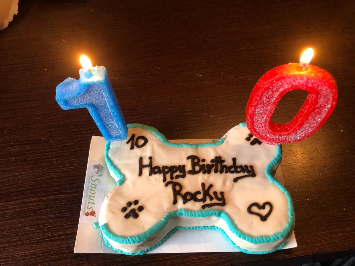danny seo dog birthday cake