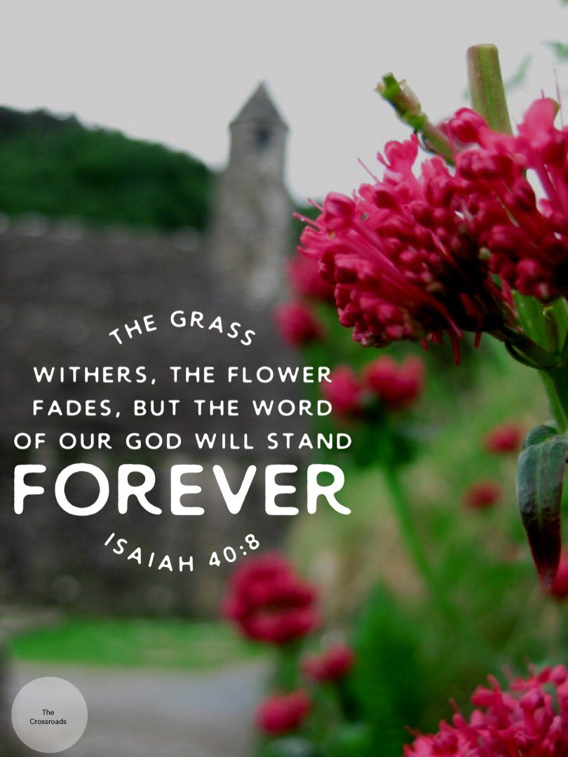 TheCrossroadCOG's tweet image. What has your heart? Are you living for things that will fade away, or is your confidence in the Word of God that will stand forever? #dailypowerup #thecrossroads