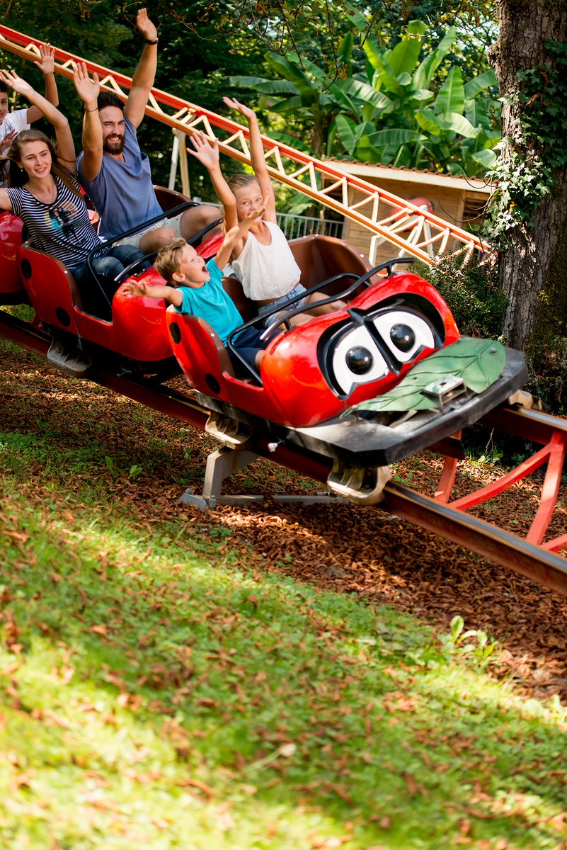 Walibi_SudOuest's tweet photo. Nous sommes tous fans de la #Coccinelle, petits ou grands ! 🌿🐞
Des #wagonnets en forme de Coccinelle emmèneront toute la #famille sur des #montagnes russes dans un cadre de verdure rafraîchissant !
#Walibisudouest #attractions #kids https://t.co/fTQoLvl7FJ
