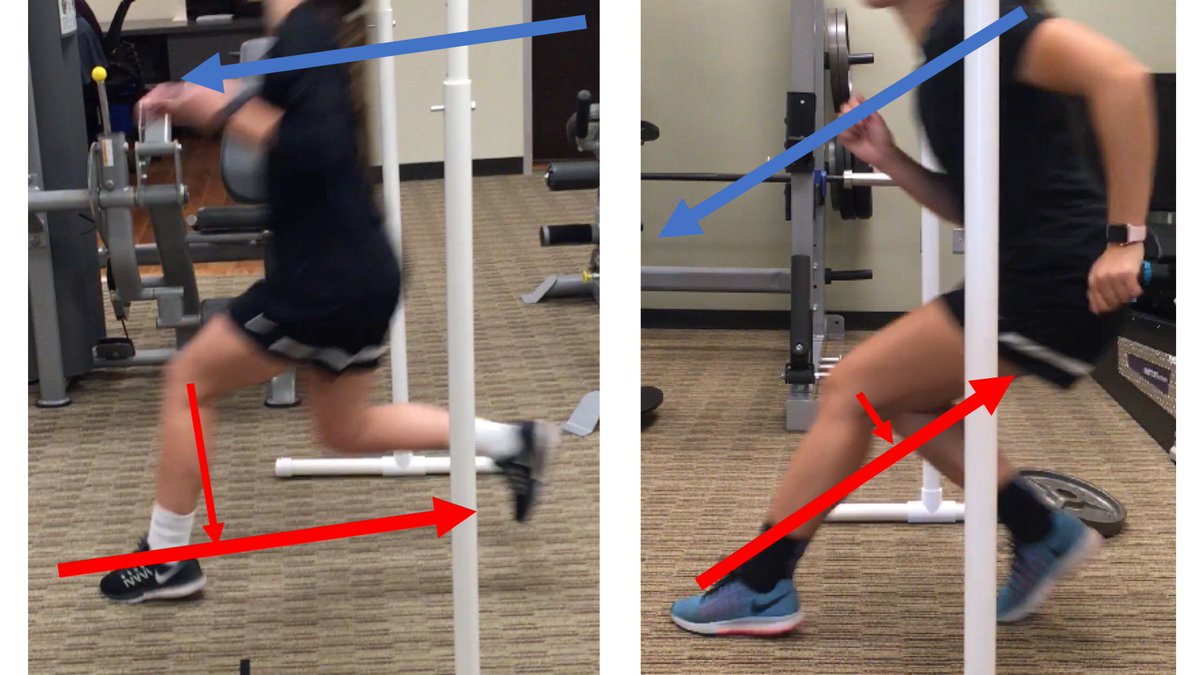 Erik Meira🦩 tweet media