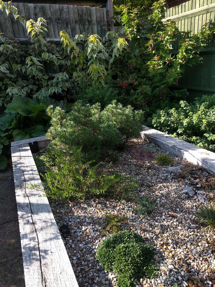 TheHortDoctor's tweet photo. @NGSOpenGardens exploring: visited @ARadgick #Devonia garden to see a great range of plants proven to be bulletproof in this year's summer! https://t.co/bB641qpJoi
