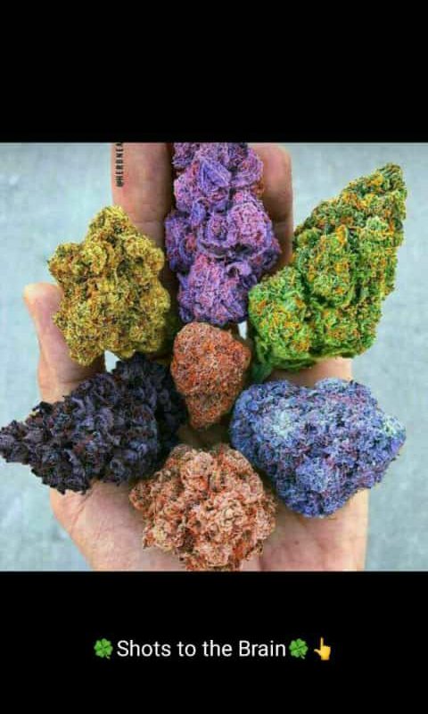 808Nkambule's tweet photo. @Them stoner days!!#Issa dope s**t https://t.co/sNAt11duLR