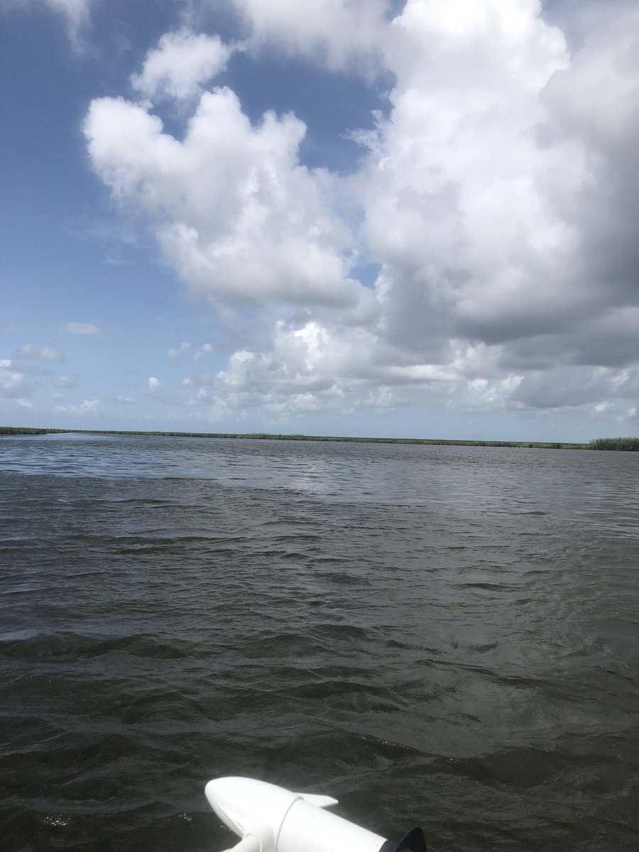 3DMediaVR's tweet photo. It is important to work hard. It is equally important to take time to enjoy nature, and friends. https://t.co/6tUBTubG6C