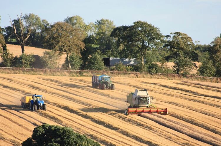 Winter wheat harvest finished last week - earliest in memory with yields best forgotten! #crazyyear