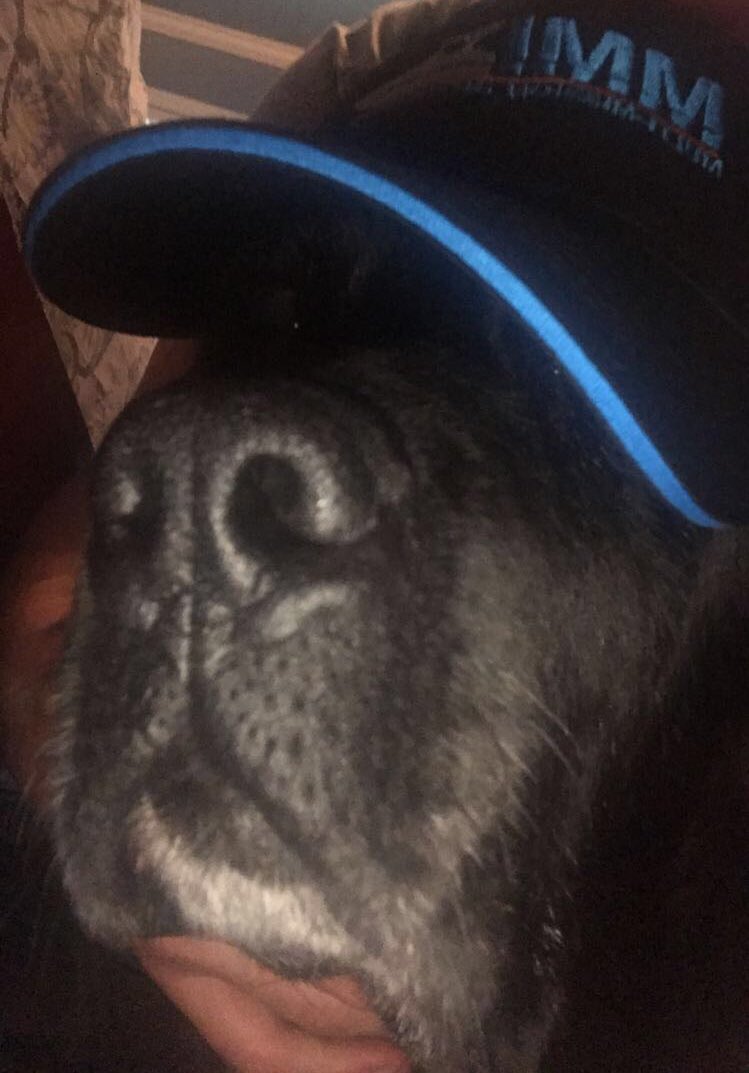 Ian Samuelson tweet media