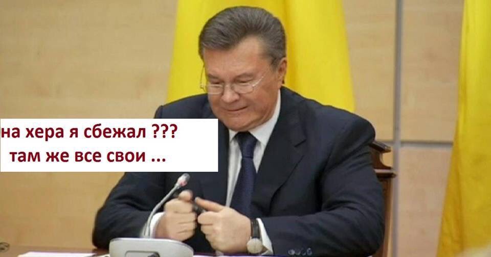Луценко через ЗМІ запобігає дзвінкам президента з дорученнями, - Безсмертний - Цензор.НЕТ 2818