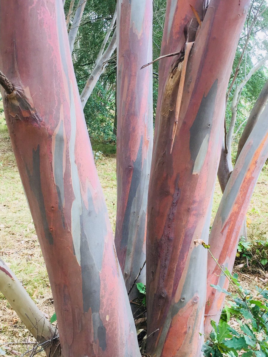 Harvey Stephens tweet media