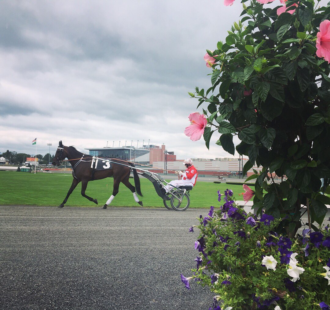 R_ERacing's tweet photo. After last weeks miscue we're very happy with a 3rd today at @YonkersRaceway 🥉😃 #MrProtab https://t.co/e1iWrqdKBc