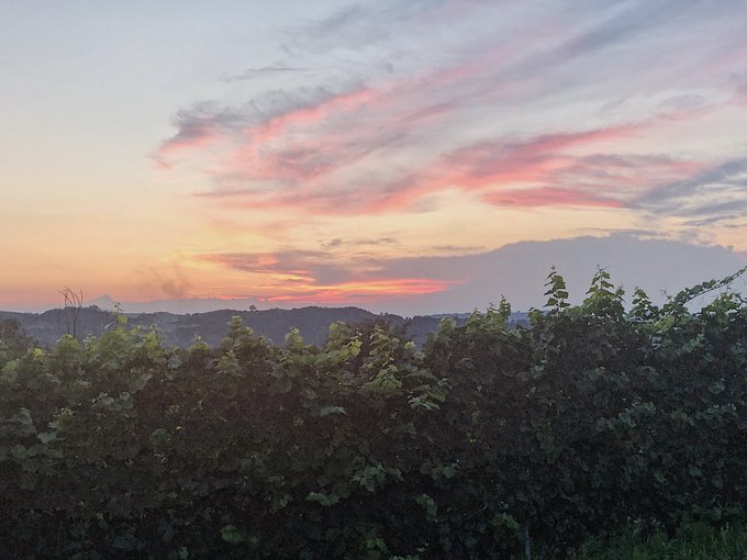 Is there a German word for &ldquo;already missing a place before you&rsquo;re even arrived&rdquo;? Because I already know<a href="/tag/piemonte"class="tags"><span>#piemonte</span></a>