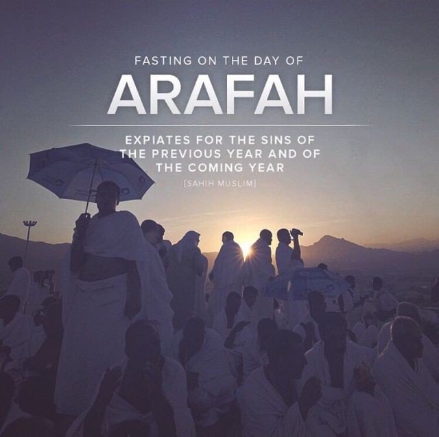 #Muslim tweet media
