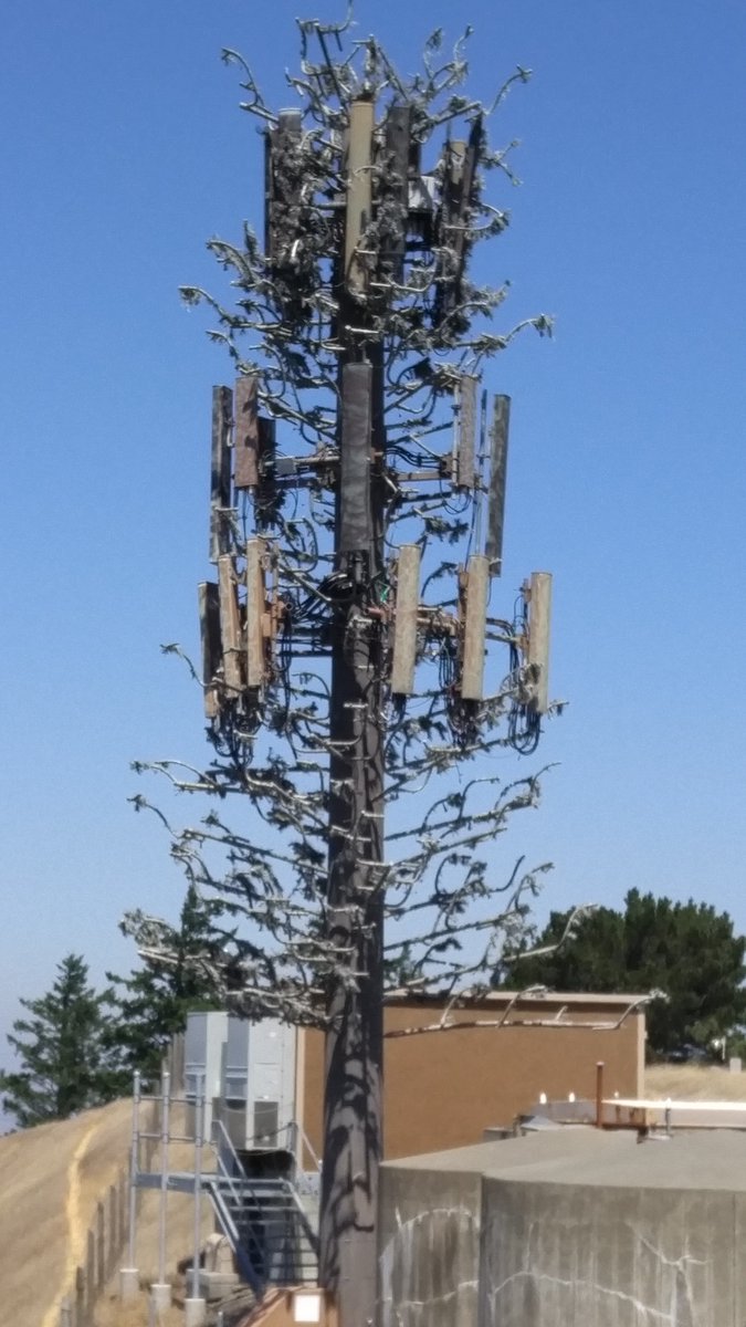 Backpack45's tweet image. Peak 54 for us on the #NiftyNinety Peak Challenge. #Barnabe Peak. backpack45.blogspot.com/2018/08/to-pea…