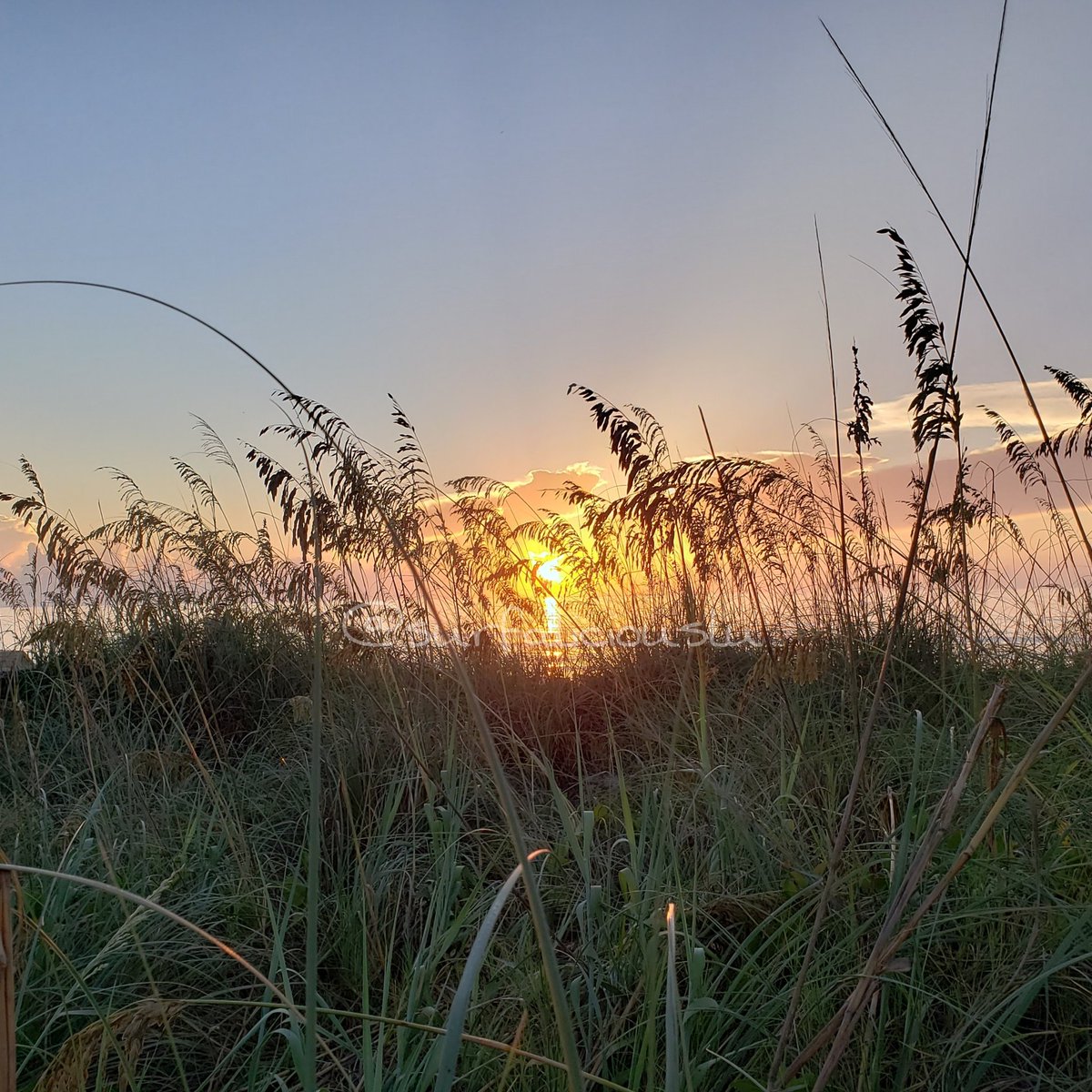 SurfaliciousLu's tweet photo. Haven't done a dawn patrol in years. Beautiful morning at the beach today. #LoveFl #LiveFl #EastCoastVibes #StaySaltyMyFriends #SaltLife @RealSaltLife @FloridianCreat1 @ShareALittleSun https://t.co/UGy942zByj
